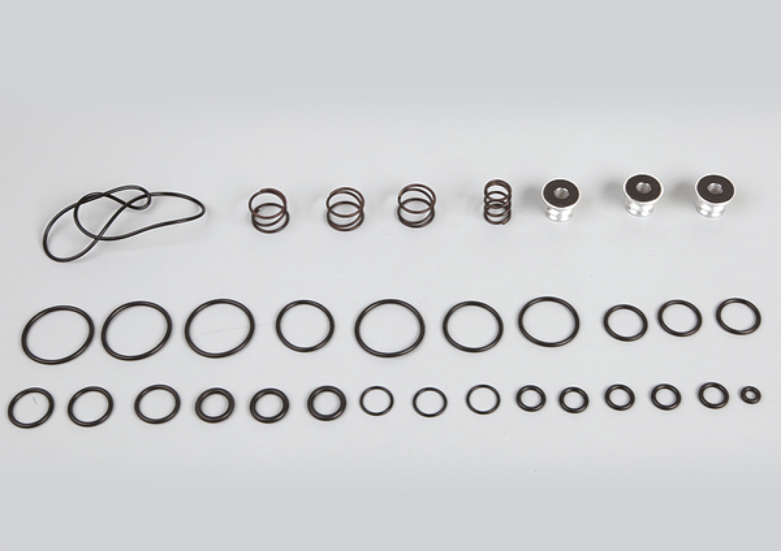 Ecas Valve Repair Kit,  K019821, K019820